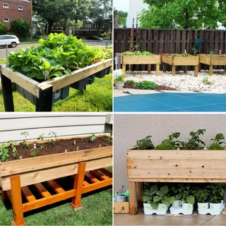 How to Build and Maintain an Elevated Garden Bed: A Step-by-Step Guide